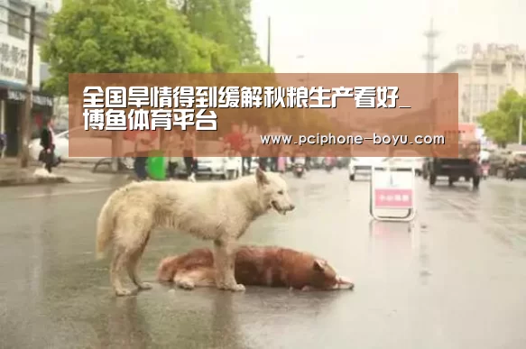 全国旱情得到缓解秋粮生产看好_ 博鱼体育平台(图2) BOYU Sports