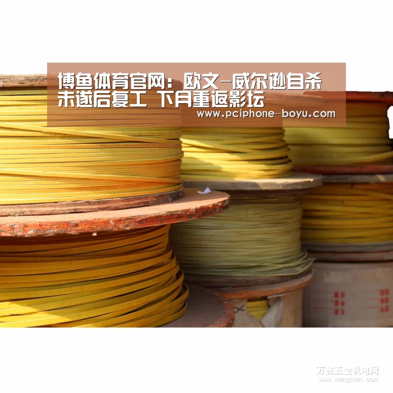 博鱼体育