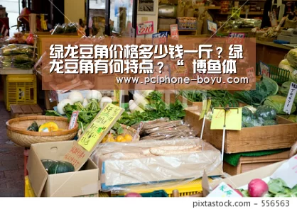 绿龙豆角价格多少钱一斤？绿龙豆角有何特点？“ 博鱼体育平台”