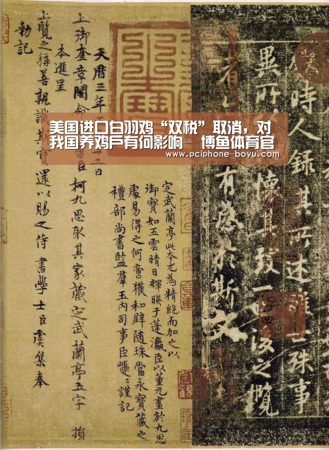 美国进口白羽鸡“双税”取消，对我国养鸡户有何影响- 博鱼体育