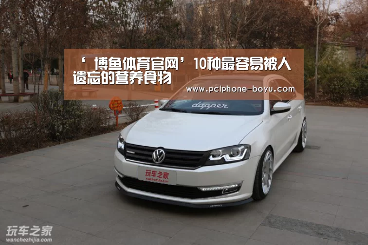  博鱼官方网站入口