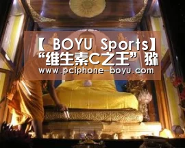  博鱼官方网站入口