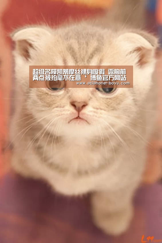  博鱼体育平台