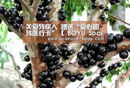  博鱼体育平台