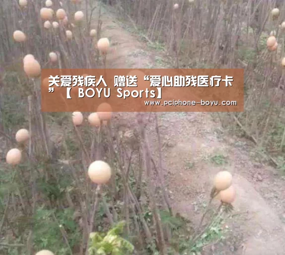  BOYU Sports