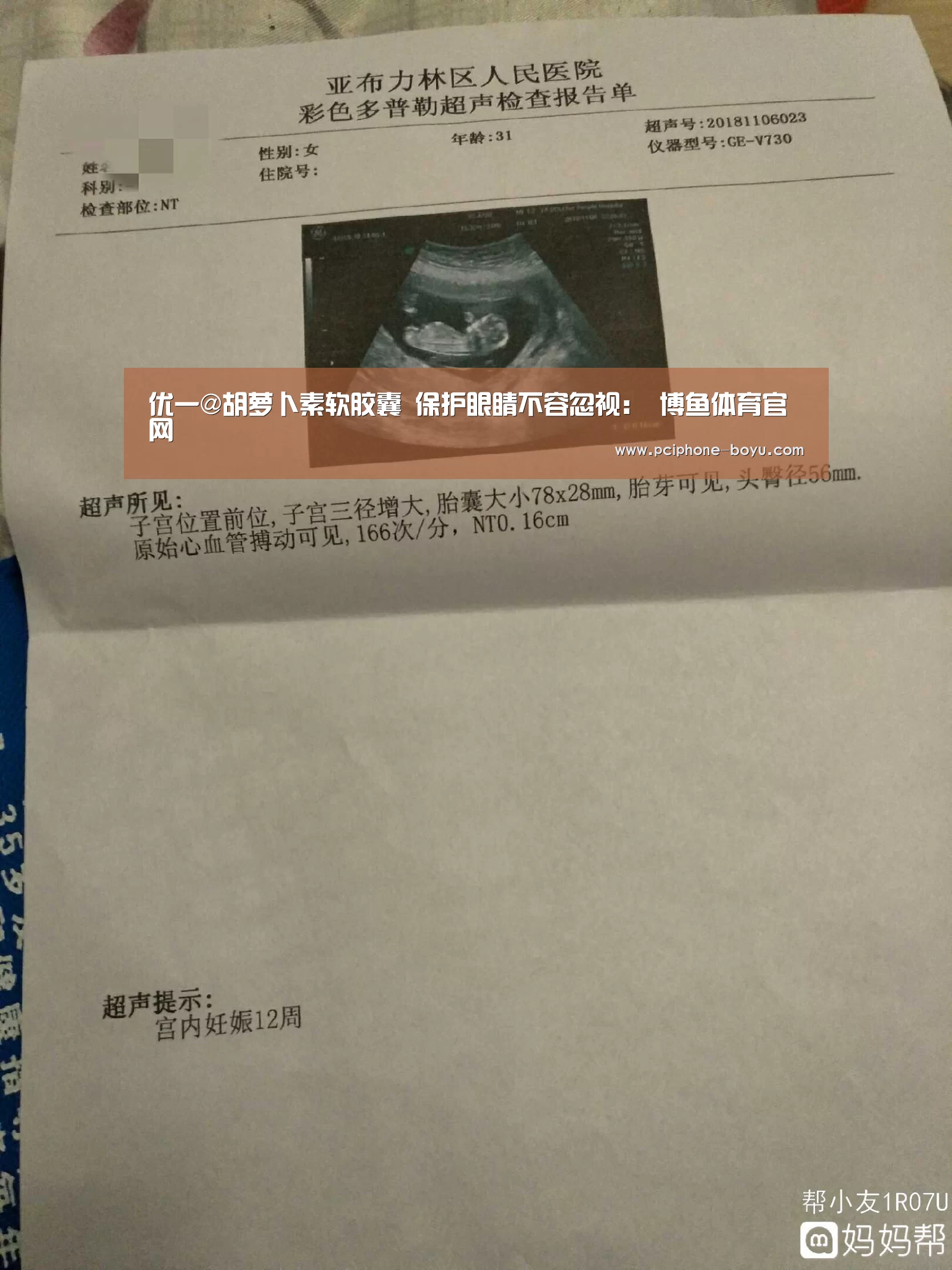  博鱼体育官网