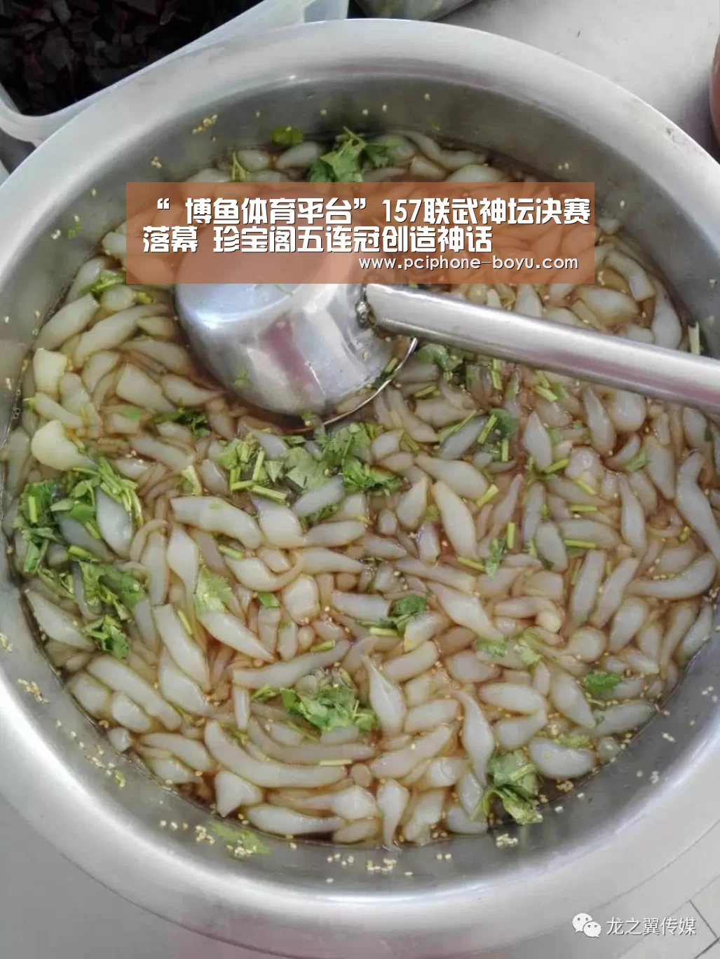  博鱼官方网站入口